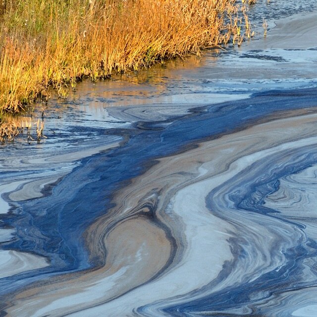 Can your business survive an environmental contamination incident?
